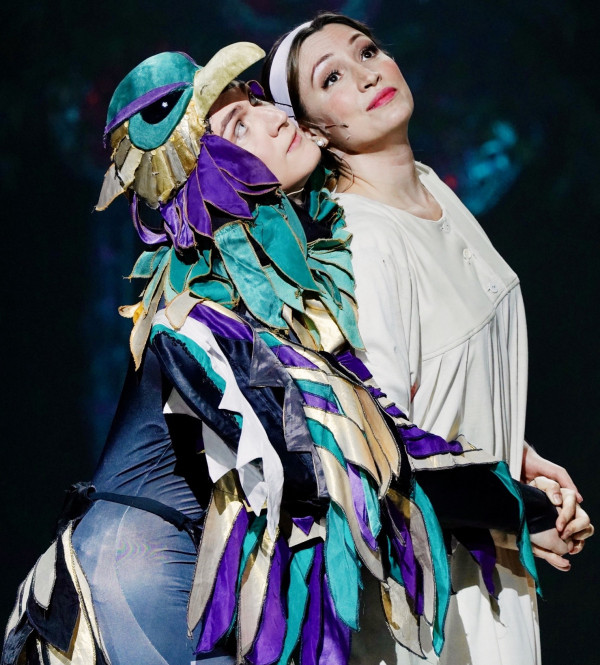 Финист ясный сокол	
